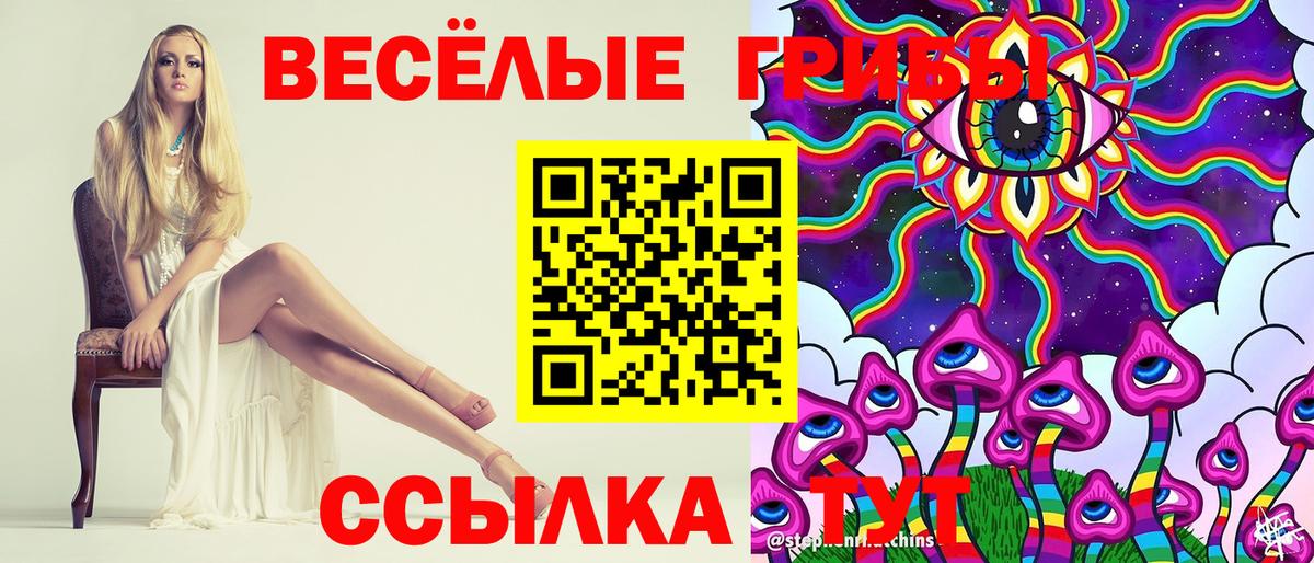 Галлюциногенные грибы Psilocybine cubensis Красногорск