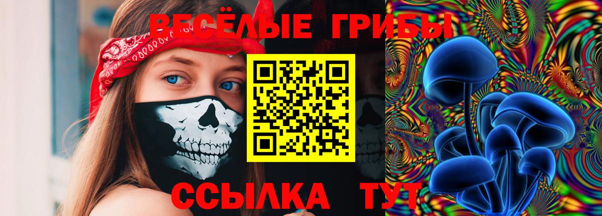 Красногорск  Галлюциногенные грибы ЛСД  Вход с VPN  Псилоцибиновые грибы мицелий 